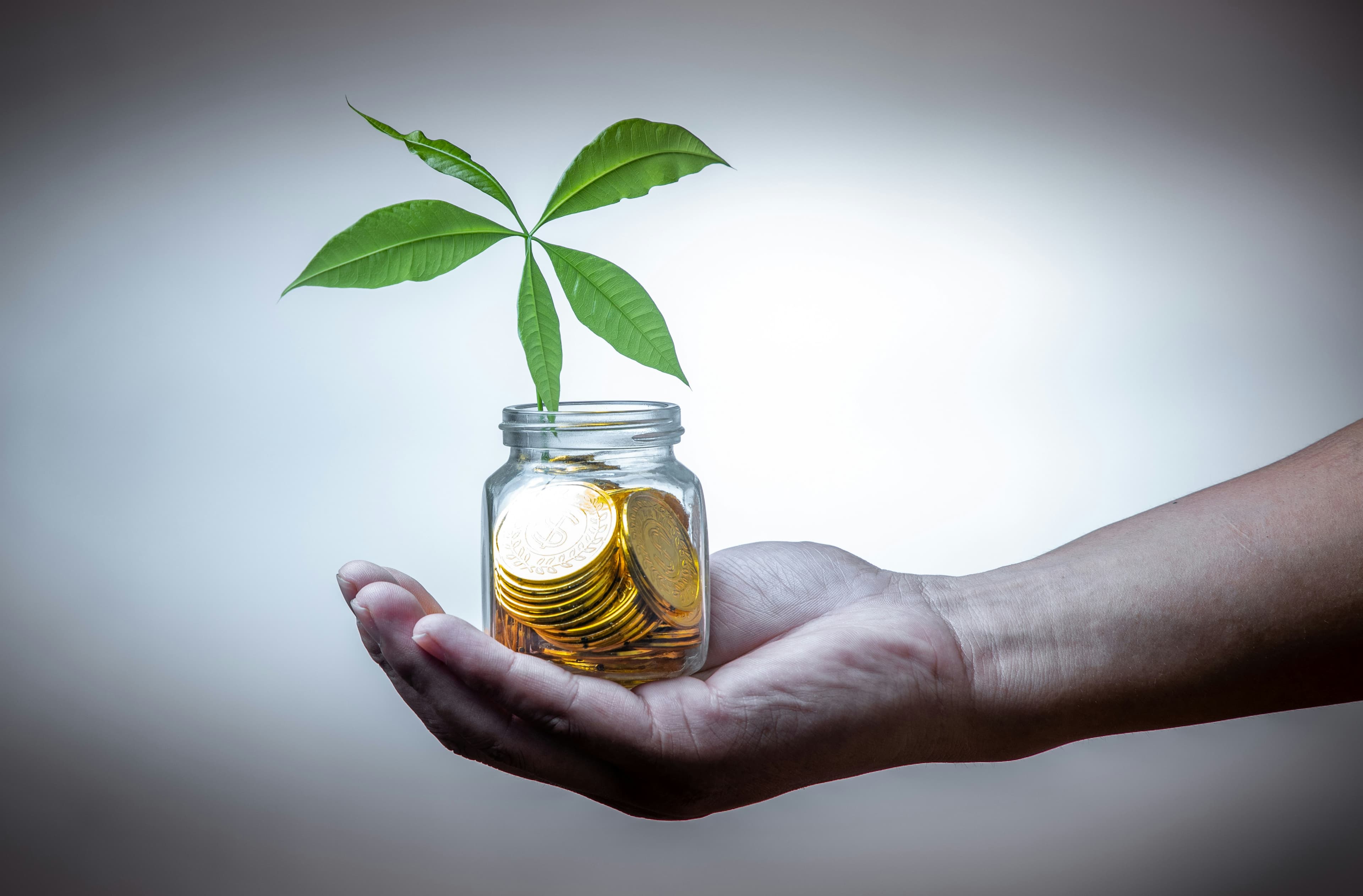 Long-term investment growth
